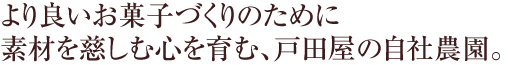 より良いお菓子づくりのために素材を慈しむ心を育む、戸田屋の自社農園。
